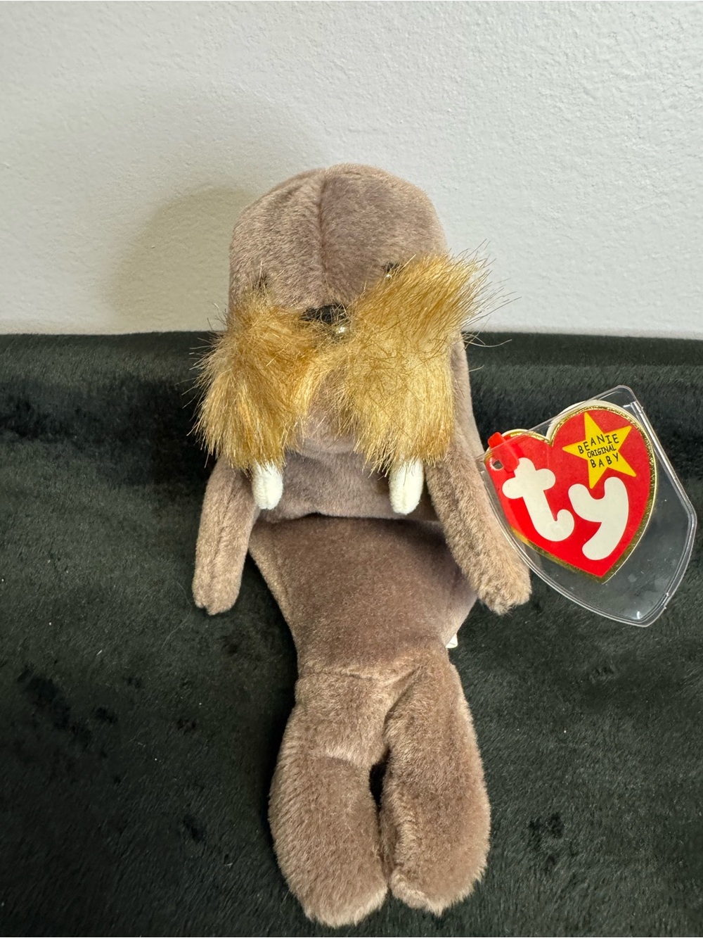BUNDLE SALE! - Ty Beanie Baby Walrus Jolly